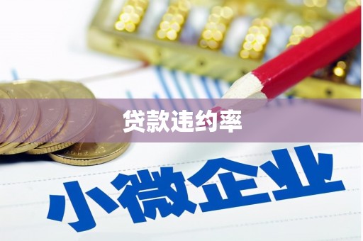 顺河贷款违约率