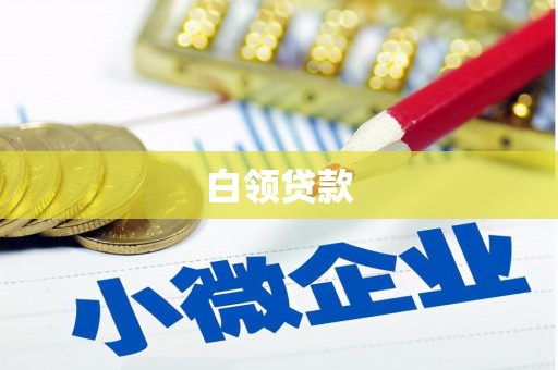 顺河白领贷款