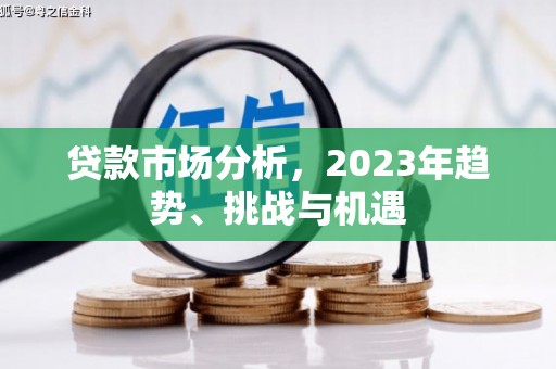 顺河贷款市场分析，2023年趋势、挑战与机遇
