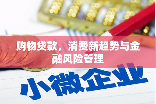 顺河购物贷款，消费新趋势与金融风险管理