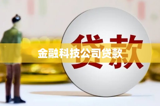 顺河金融科技公司贷款