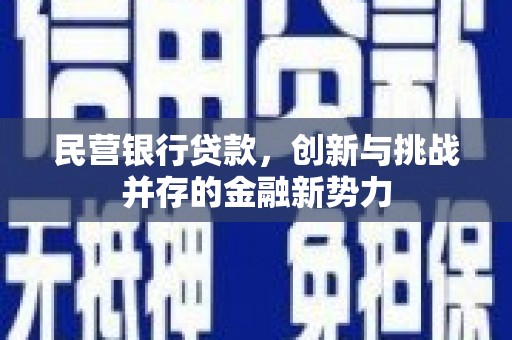 顺河民营银行贷款，创新与挑战并存的金融新势力