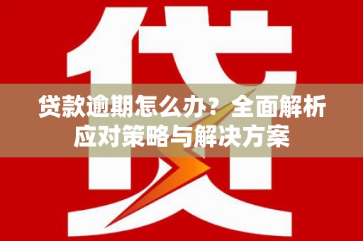 顺河贷款逾期怎么办？全面解析应对策略与解决方案