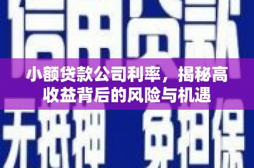 顺河小额贷款公司利率，揭秘高收益背后的风险与机遇
