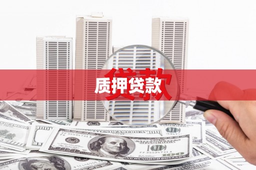 顺河质押贷款