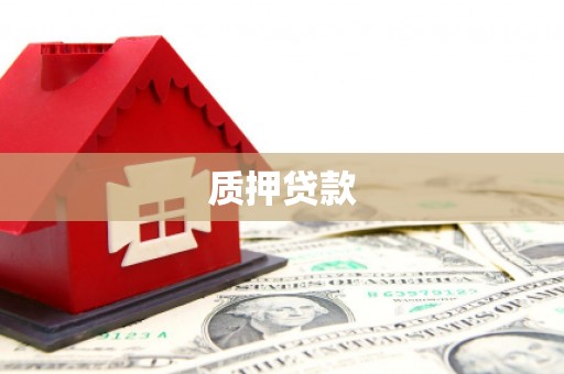 顺河质押贷款