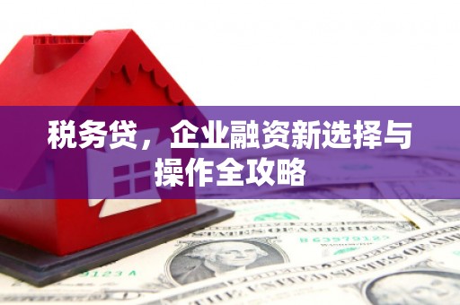 顺河税务贷，企业融资新选择与操作全攻略