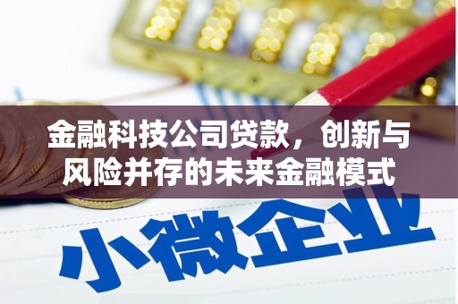顺河金融科技公司贷款，创新与风险并存的未来金融模式