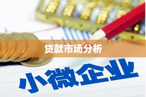 顺河贷款市场分析