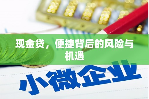 顺河现金贷，便捷背后的风险与机遇