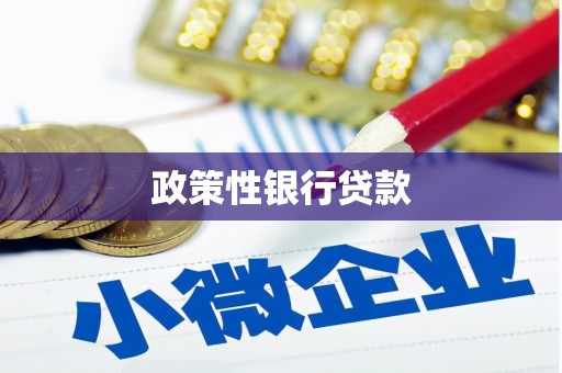 顺河政策性银行贷款