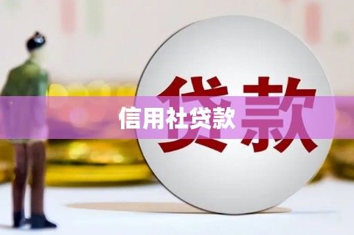 顺河信用社贷款