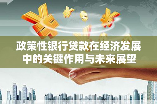 顺河政策性银行贷款在经济发展中的关键作用与未来展望