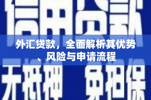 顺河外汇贷款，全面解析其优势、风险与申请流程