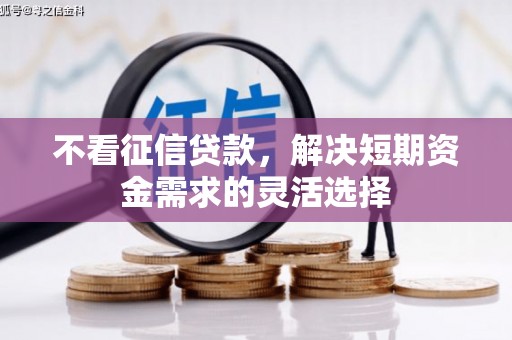 顺河不看征信贷款，解决短期资金需求的灵活选择