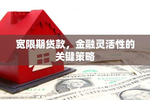 顺河宽限期贷款，金融灵活性的关键策略