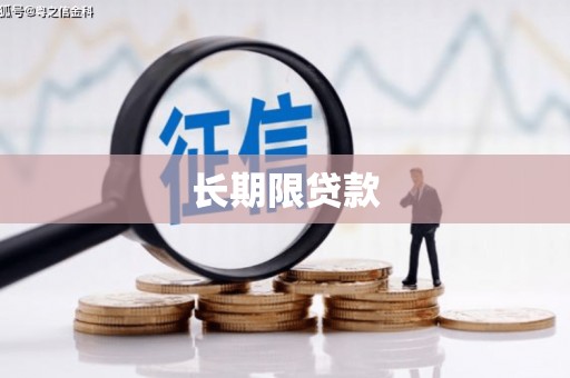 顺河长期限贷款