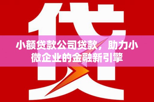 顺河小额贷款公司贷款，助力小微企业的金融新引擎