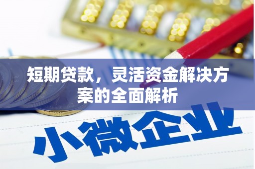 顺河短期贷款，灵活资金解决方案的全面解析