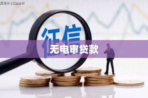顺河无电审贷款