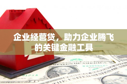 顺河企业经营贷，助力企业腾飞的关键金融工具