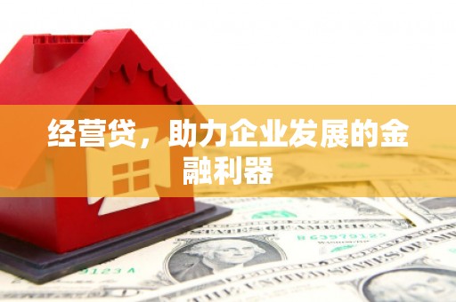 顺河经营贷，助力企业发展的金融利器