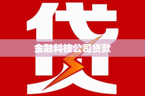 顺河金融科技公司贷款