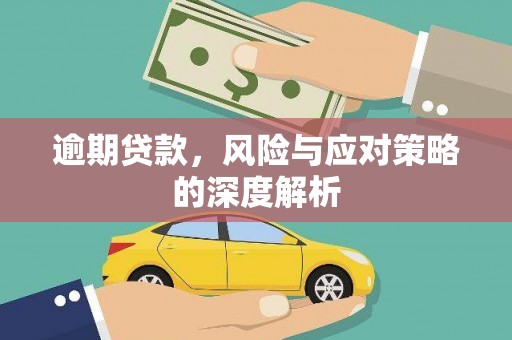 顺河逾期贷款，风险与应对策略的深度解析