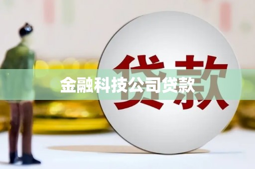 顺河金融科技公司贷款