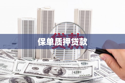 顺河保单质押贷款