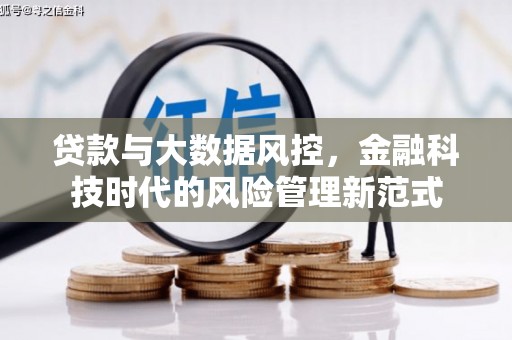 顺河贷款与大数据风控，金融科技时代的风险管理新范式