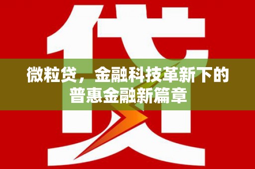 顺河微粒贷，金融科技革新下的普惠金融新篇章