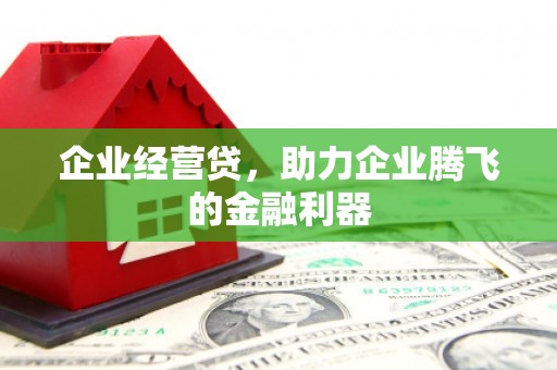 顺河企业经营贷，助力企业腾飞的金融利器