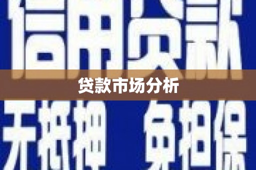 顺河贷款市场分析