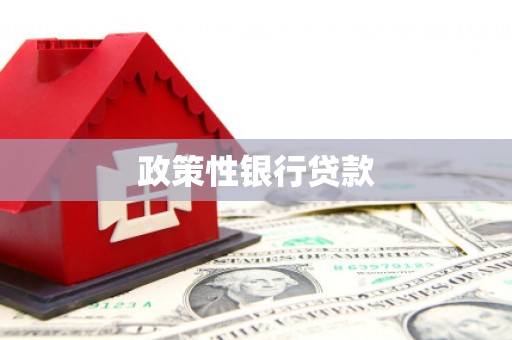 顺河政策性银行贷款