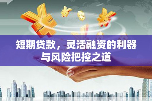 顺河短期贷款，灵活融资的利器与风险把控之道