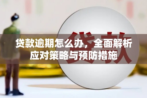顺河贷款逾期怎么办，全面解析应对策略与预防措施