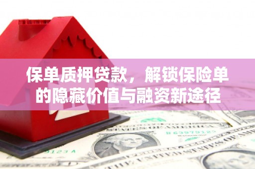 顺河保单质押贷款，解锁保险单的隐藏价值与融资新途径