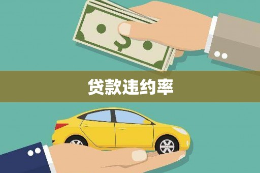 顺河贷款违约率
