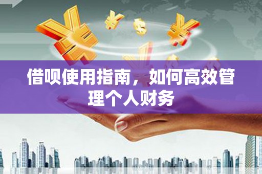 顺河借呗使用指南，如何高效管理个人财务