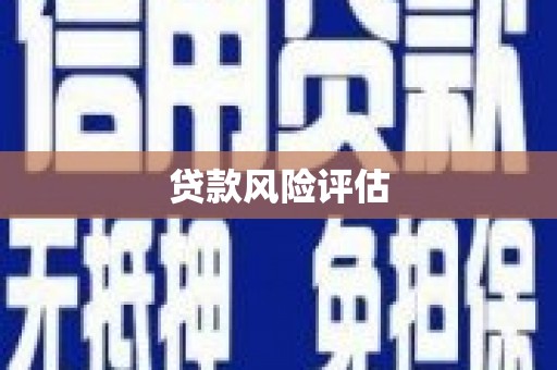 顺河贷款风险评估