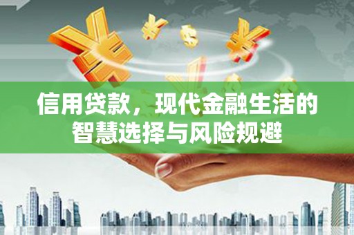顺河信用贷款，现代金融生活的智慧选择与风险规避