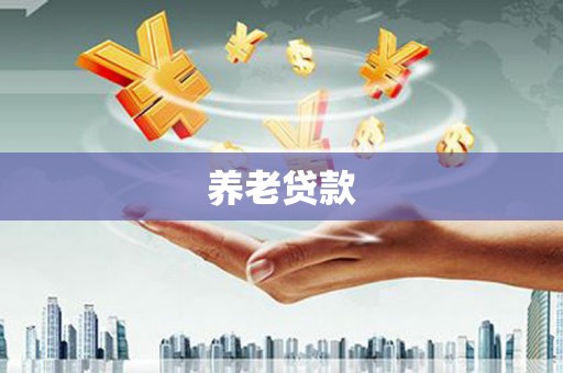 顺河养老贷款