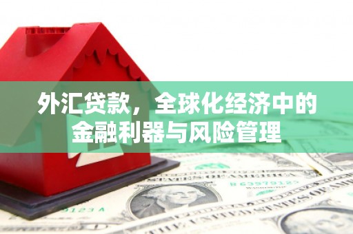 顺河外汇贷款，全球化经济中的金融利器与风险管理