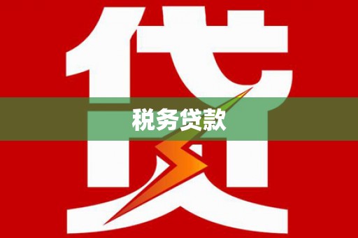 顺河税务贷款