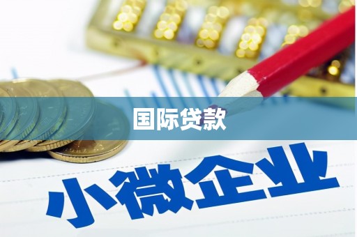 顺河国际贷款