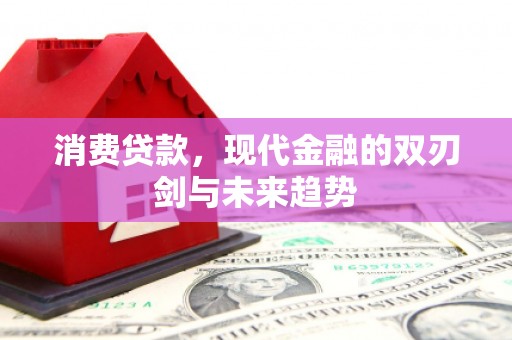 顺河消费贷款，现代金融的双刃剑与未来趋势