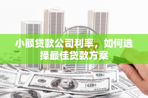 顺河小额贷款公司利率，如何选择最佳贷款方案