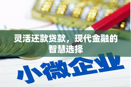 顺河灵活还款贷款，现代金融的智慧选择