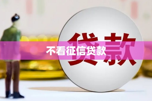 顺河不看征信贷款